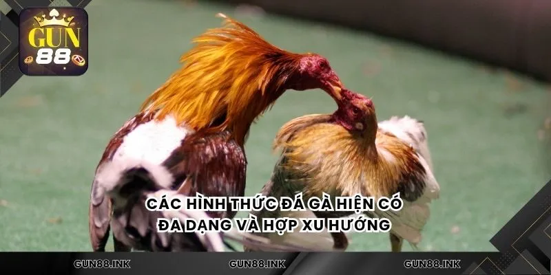 Các hình thức đá gà hiện có đa dạng và hợp xu hướng 